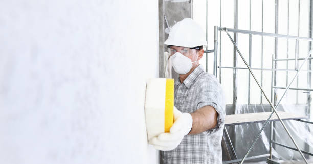 Best Emergency Mold Remediation  in Eunice, NM